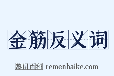 金筋反义词是什么意思的图片